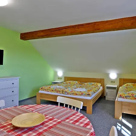 Bayer - Ex Pavel * Abertamy